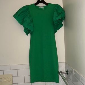 Zara Puff Sleeve Mini Dress